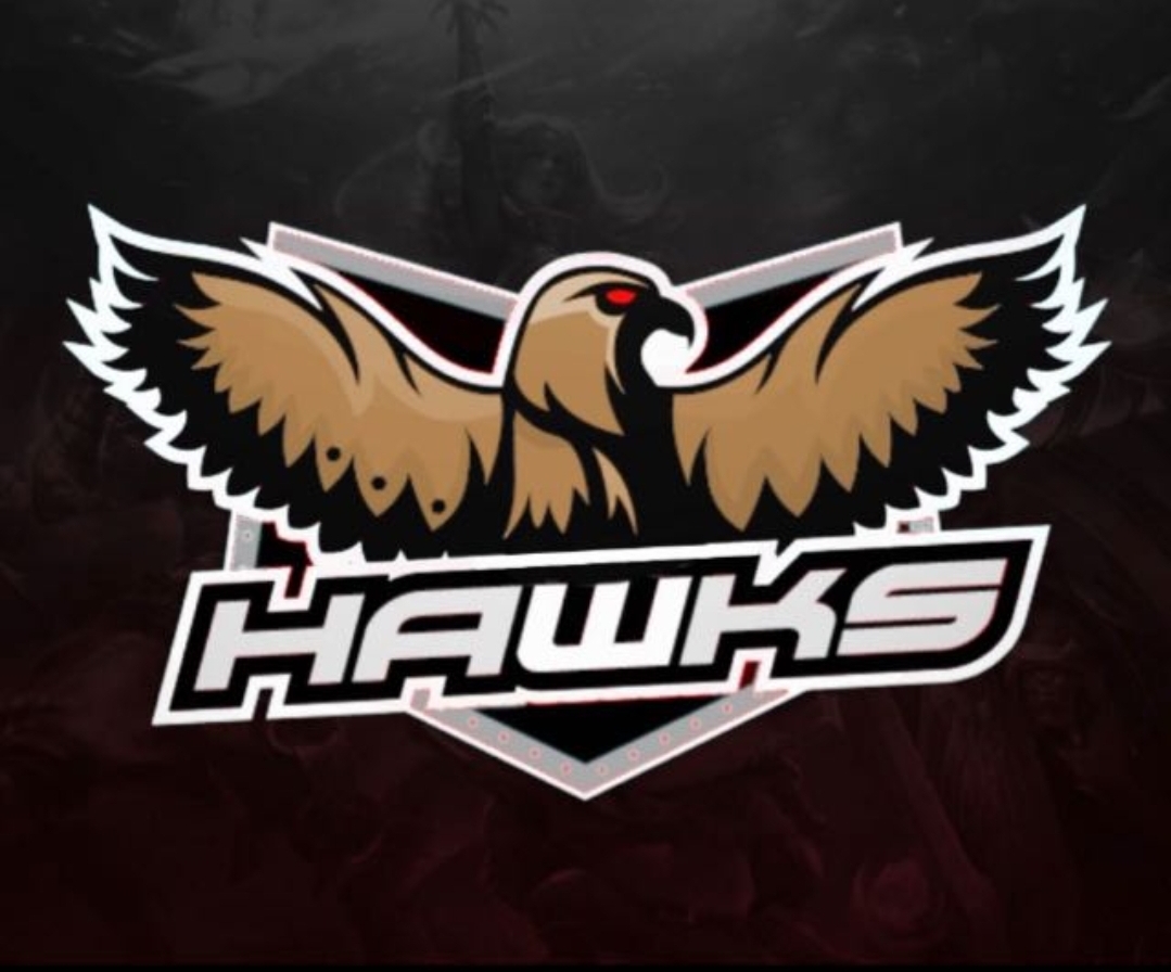 HaWks esports