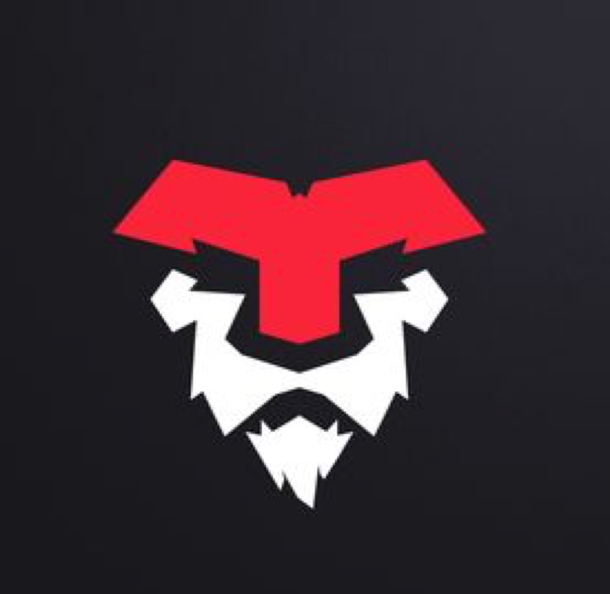 ZulfiFighter 