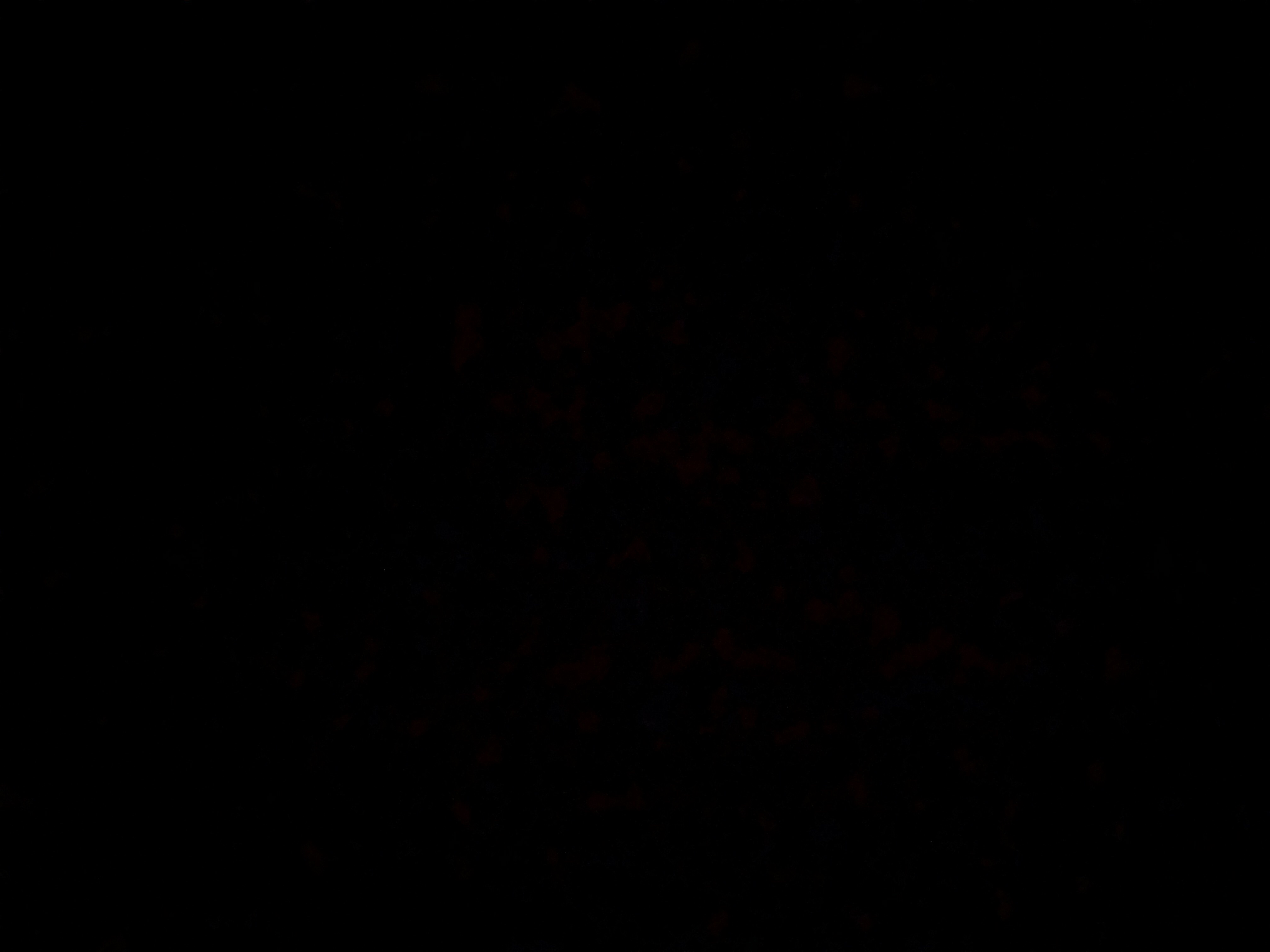 Invitation Banner