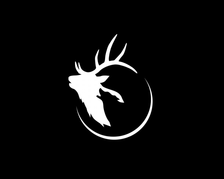 Attack eSports