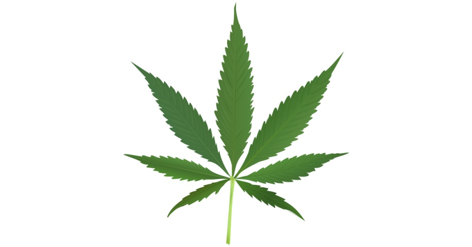 weeeed