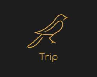 trips
