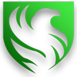 Falcons Esports..