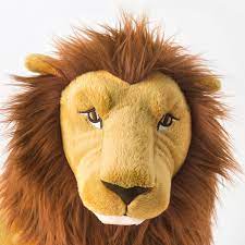 Lion asd