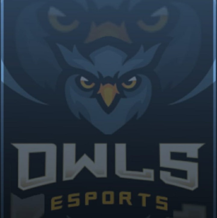 OWL ESOPRTS