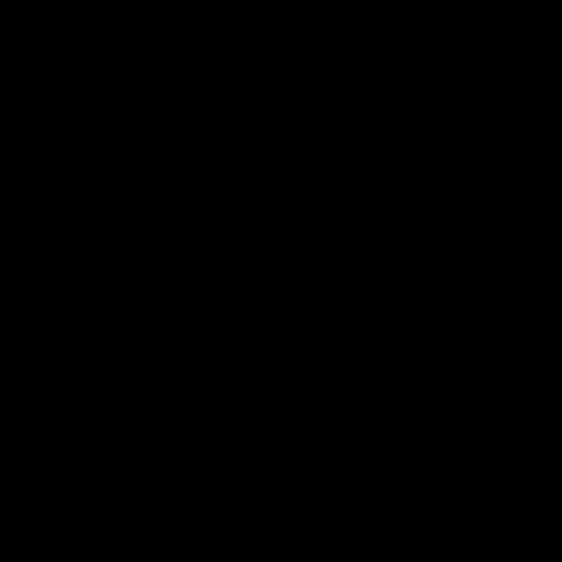 Invitation Banner