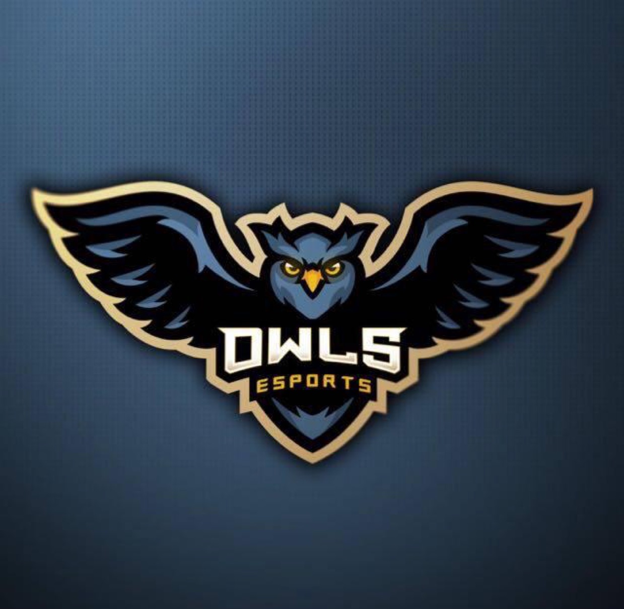 owl.esports2