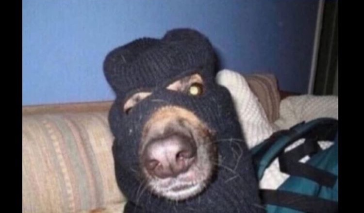 ShGbGl3