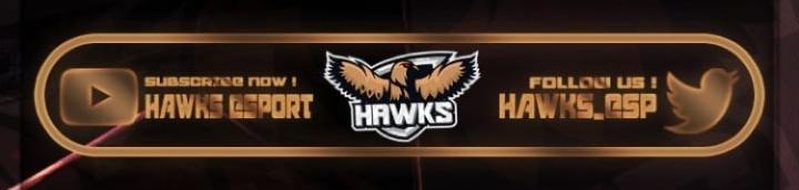 Hawks eSports FT1