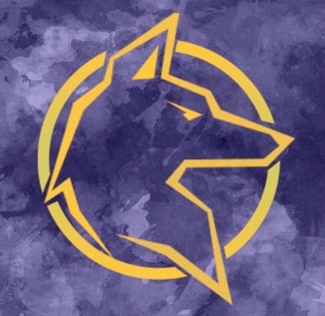 AWzesports7