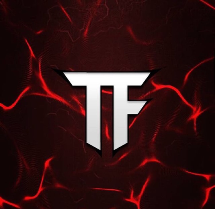 TheFighters