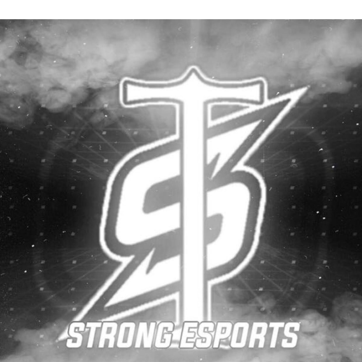 s.t.esports
