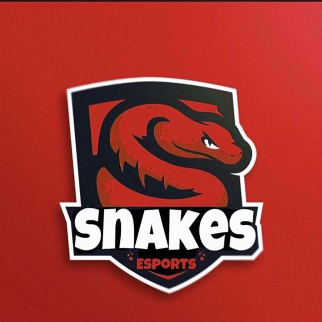 snakes Esports.