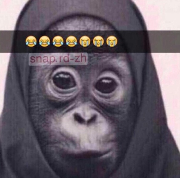 djhddhhd