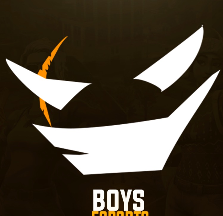 BoysFamily ESPORTS 
