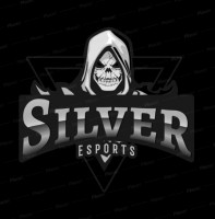 Silver Esports