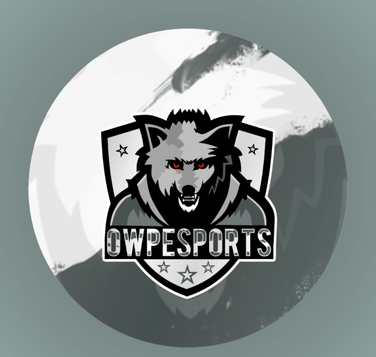 OWP esports 