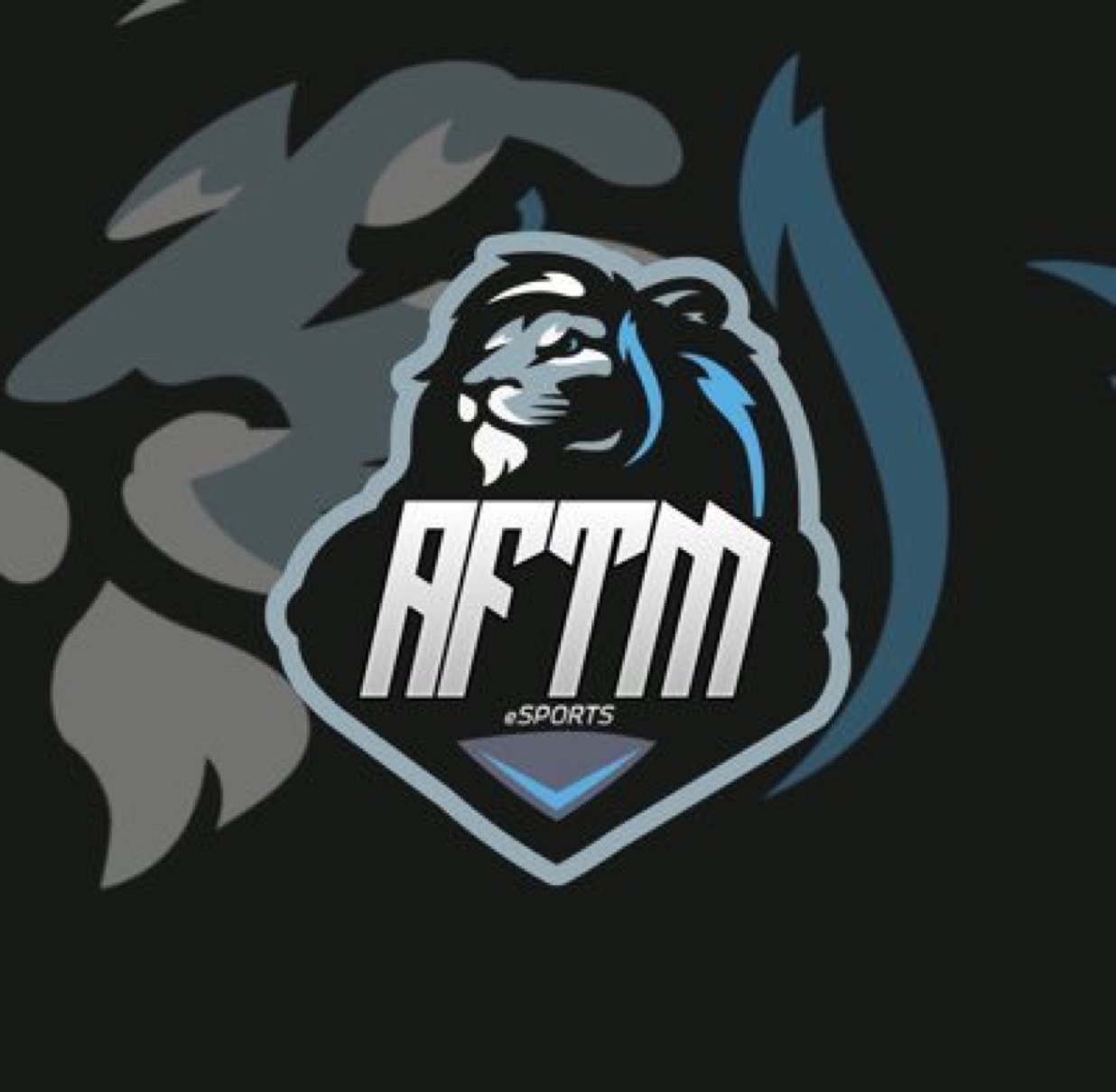 AFTMeSports