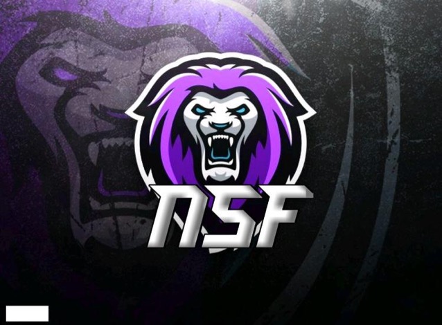  1NsF - FortNite