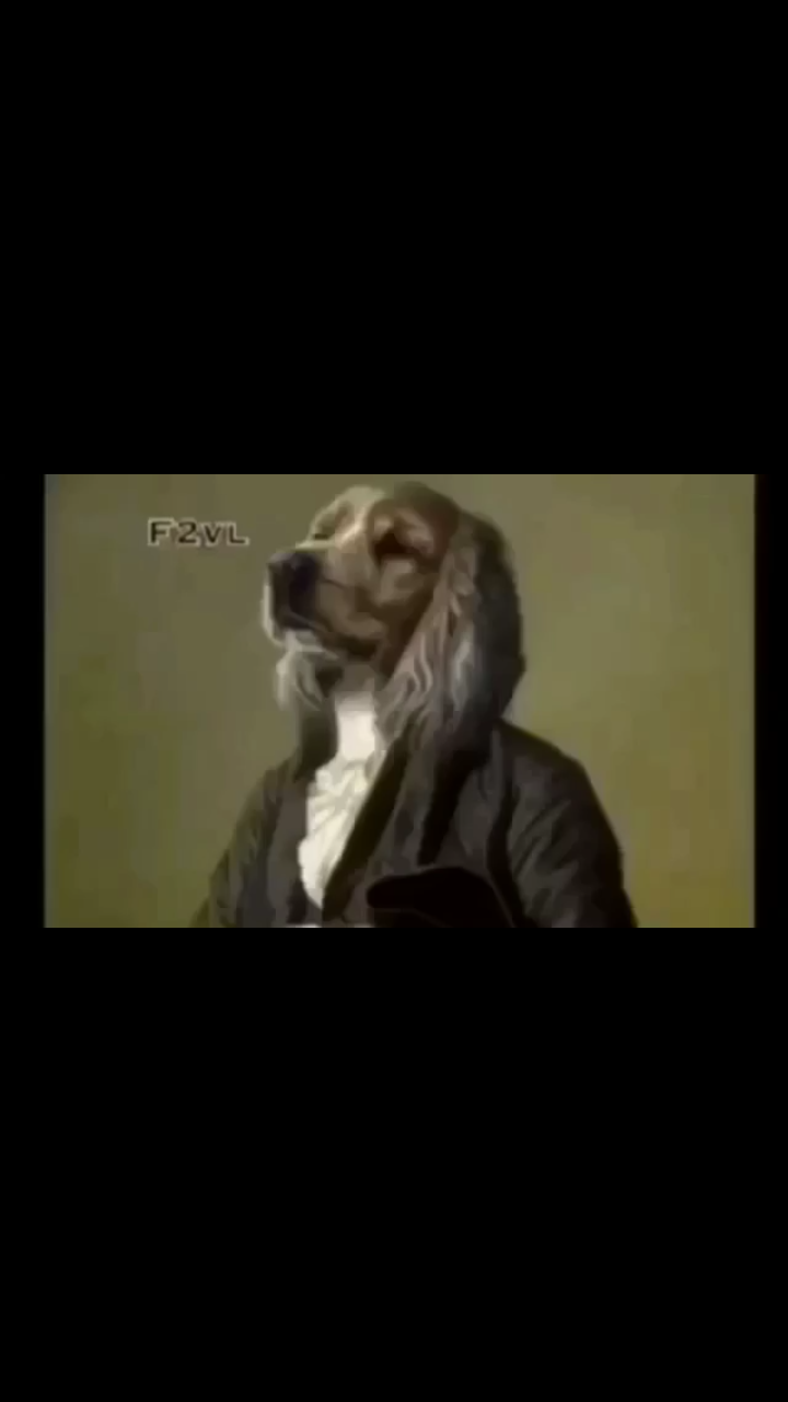 Dviz lgnd