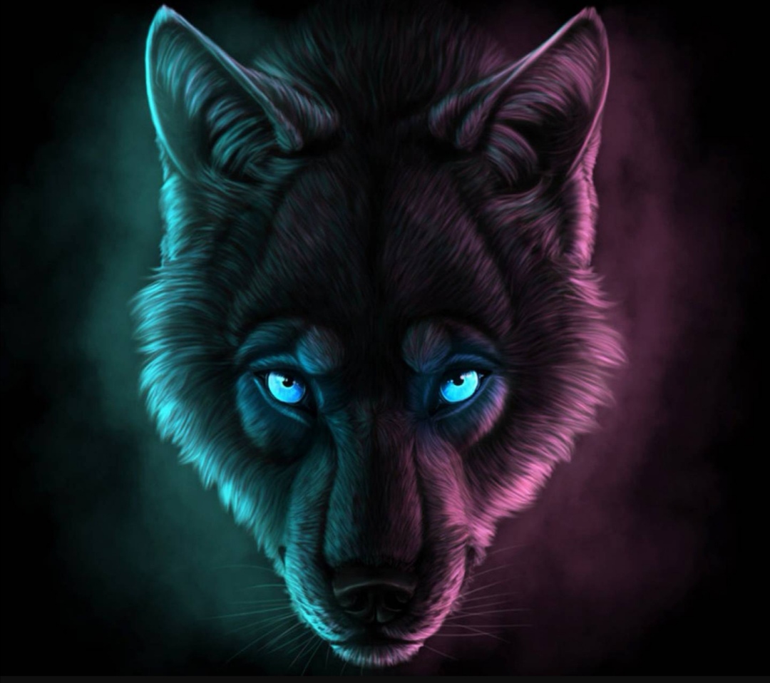 Walf Team