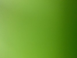 Invitation Banner