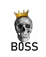 Natus Vincere