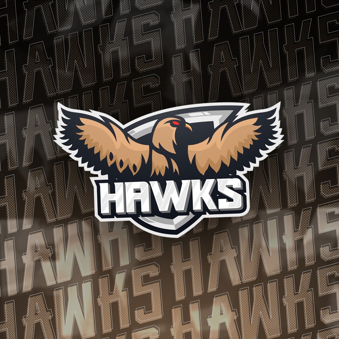 Hawk eSports FN28