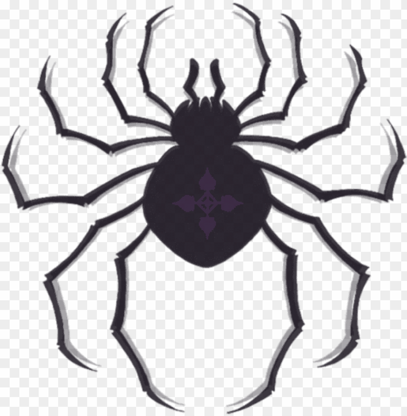 Spiders