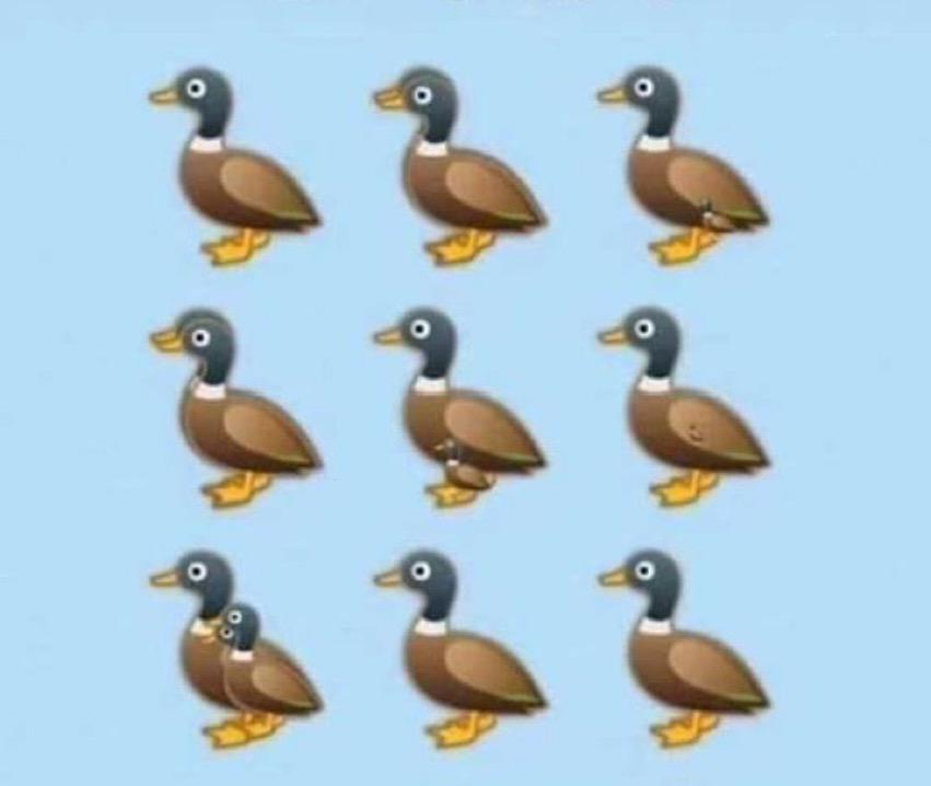 AhmedXdh