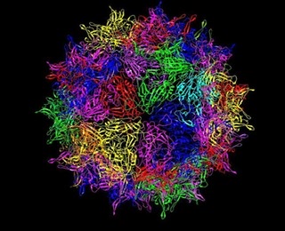 viruses