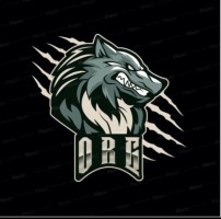 ORG ESPORT
