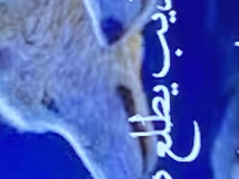 Invitation Banner