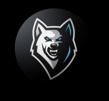 The young wolf