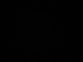 Invitation Banner