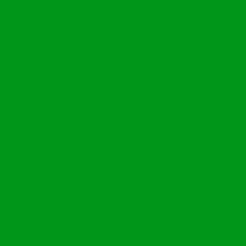 GreenShield1Epic