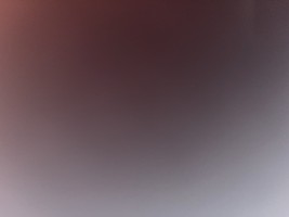 Txbxh