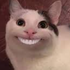 wsrroi