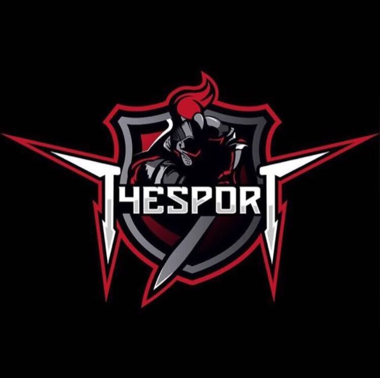 T4esports-6