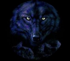 Over power wolf