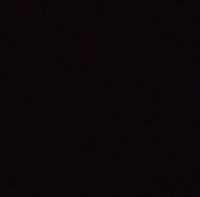 Night killing