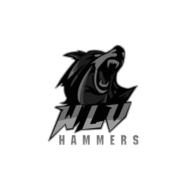 FCHammers