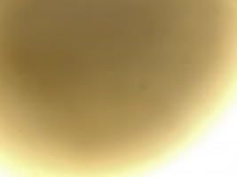 Invitation Banner