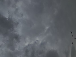 Invitation Banner