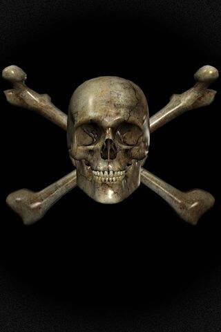 bones