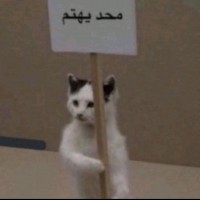 Sidi