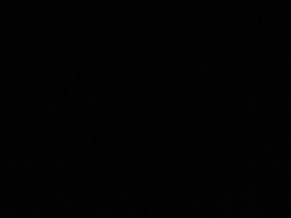 Crows Team
