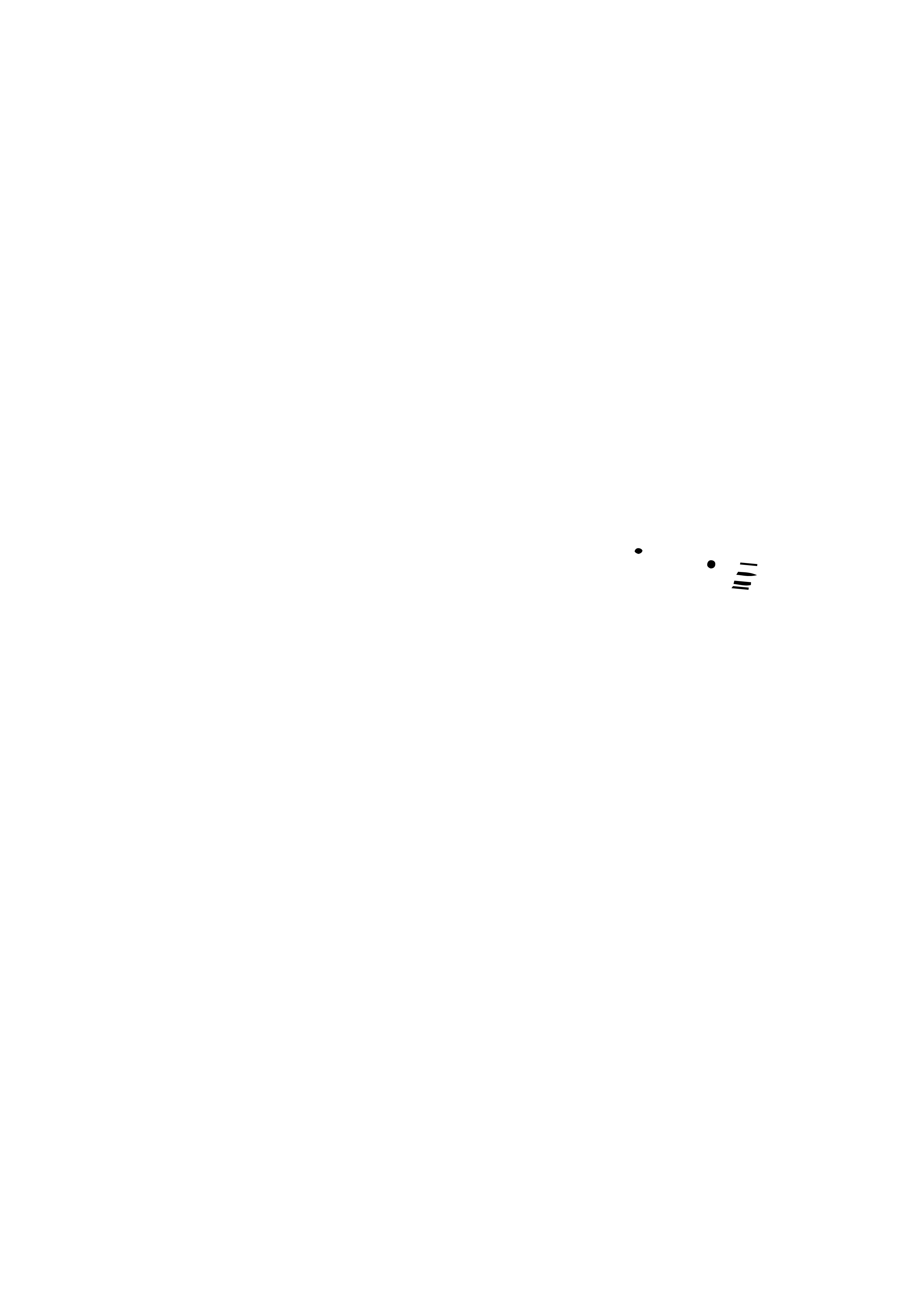 JRzTeam