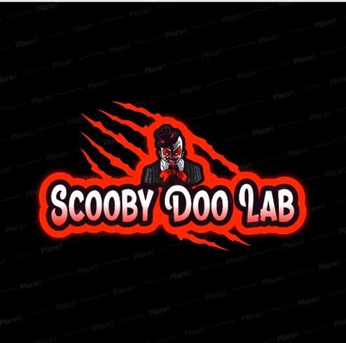 Scooby Doo Lab