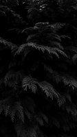 Invitation Banner